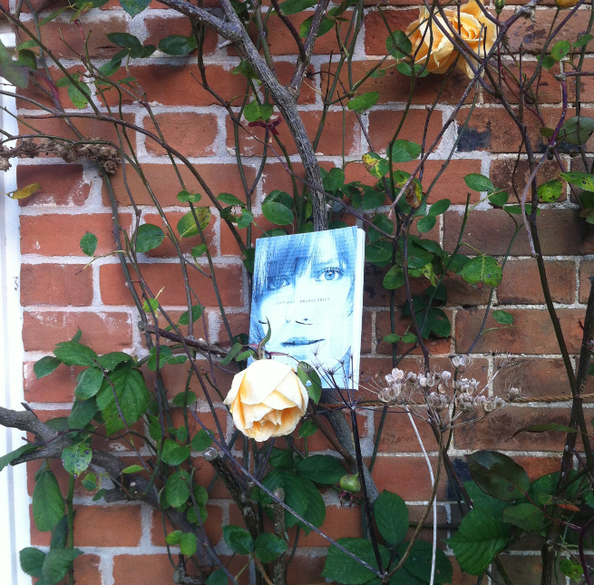 Photo featuring Orange Roses by Lucy Ives. Photo Credit: Sophie Collins.