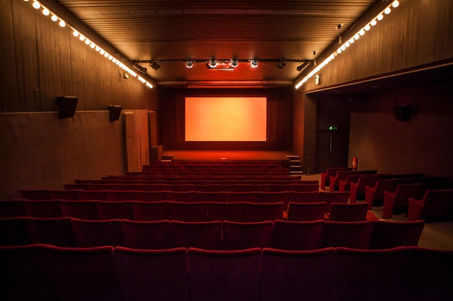 Cinema 1. Photo: Victoria Erdelevskaya