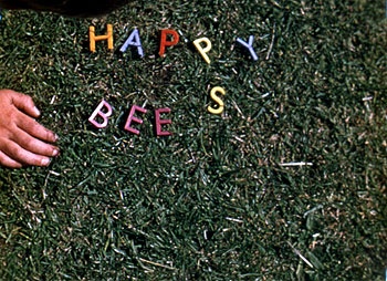 Margaret Tait, Happy Bees & short films for children, 1954