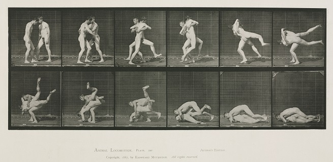 Time-lapse photographs of two men wrestling, 1872-1885, Edweard James Muybridge’. Credit © Science Museum / Science & Society Picture Library -- All rights reserved