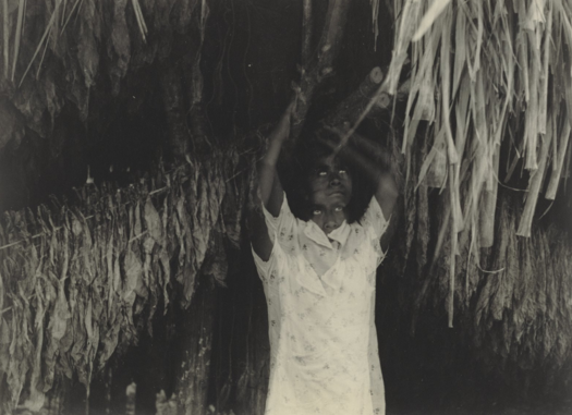 Cover image of Bhanu Kapil's humanimal [a project for future children]: Manuel Álvarez Bravo, El Tabaco (The Tobacco), 1932