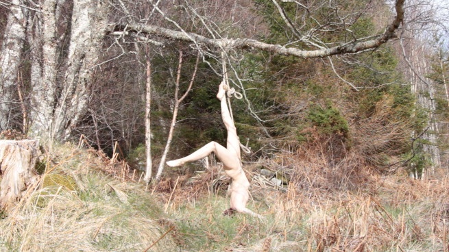 Hilde Krohn Huse, Hanging in the Woods, 2014, Courtesy of the artist