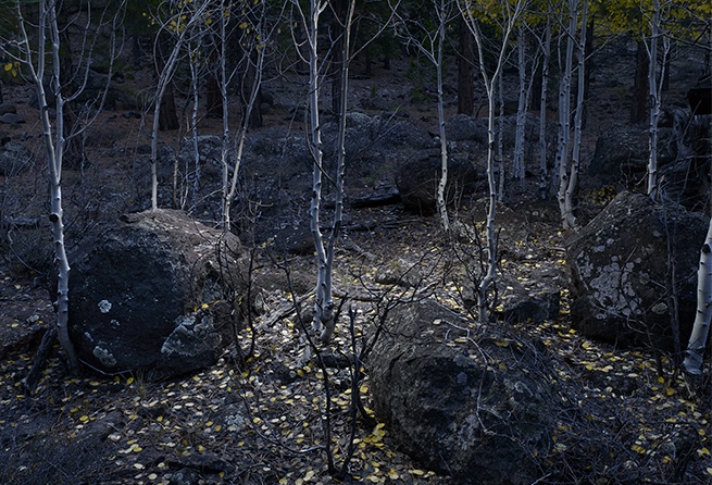 Tim Simmons, Boulder Mountain #1, 2010, Courtesy of the artist
