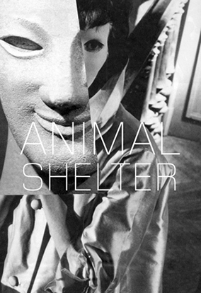 Animal Shelter #3