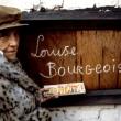 Still: Louise Bourgeois: The Spider, the Mistress and the Tangerine
