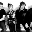 The Primitives